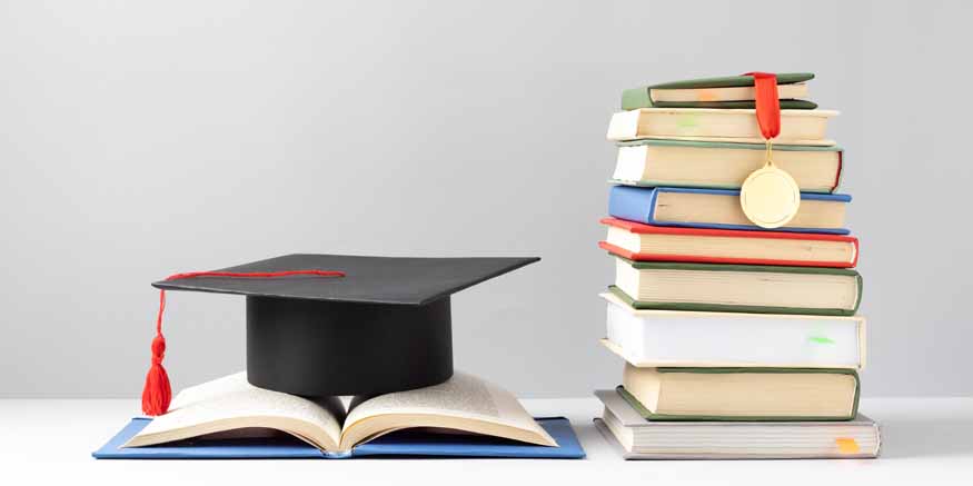DIPLOMA IN ENTREPRENEURSHIP IN THE FIELD OF RENEWABLE ENERGY