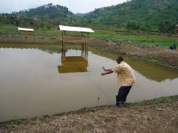 FISHERIES FEED TECHNICIAN